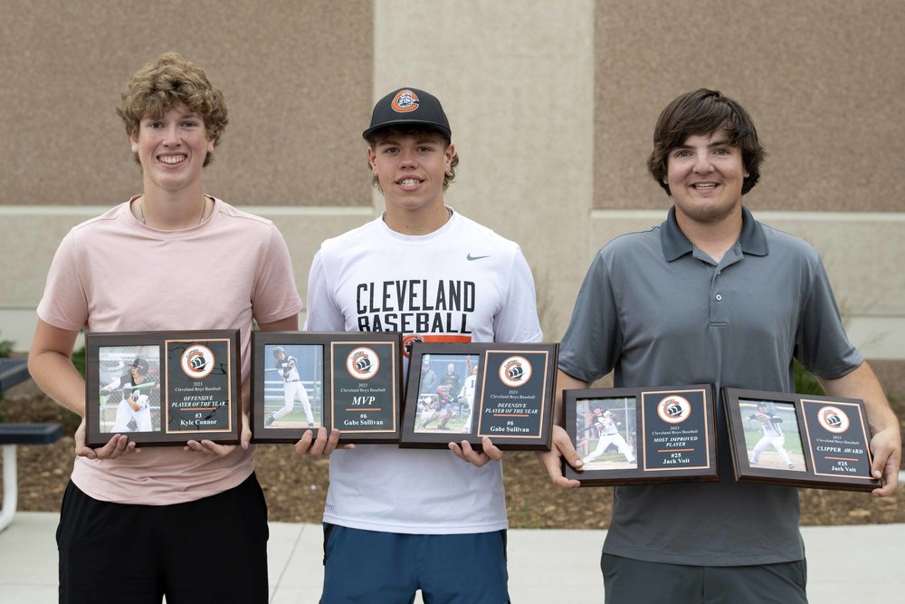 Baseball award winners